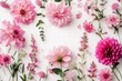 Flowers composition. Pink flowers on white background. Flat lay