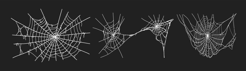 Spooky halloween old spider web with various sizes and shapes. Old cobweb set vector illustration for dark gothic decoration for holidays. Corner spider net insect thread cobweb scary frames.
