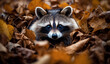 a raccoon is hiding in the leaves of a forest floor with its head peeking out of the leaves