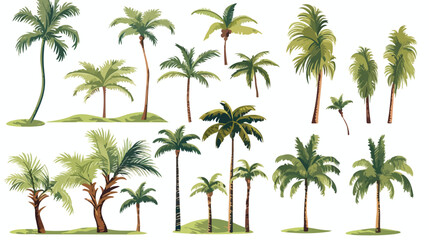  Tropical coconut palm trees. Vector sketch illustration