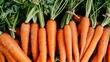 © Ilja - Vibrant large organic carrots creating a fresh texture background, ideal for culinary concepts