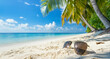 Sunglasses lying on a tropical sandy beach with palm trees, sea and blue sky - Travel, Vacation and Travel Agency