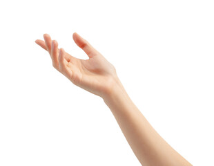 Hand holding or pointing to something on white background.