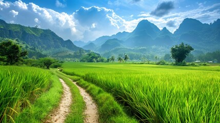 A road runs through a lush green field with mountains in the background. The scene is peaceful and serene, with the road leading to a beautiful landscape