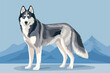 Thoroughbred Siberian Husky dog in full length. Dog breed illustration vector.