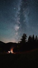 Wall Mural - vertical video of milky way galaxy stars over forest and people barbecue campfire nature, astronomy 