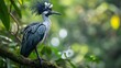 A close-up of an exquisite bird The solitary White-napped Jay (Cyanocorax cyanopogon) perches on a tree in the middle of a verdant background with space for text, Generative AI.