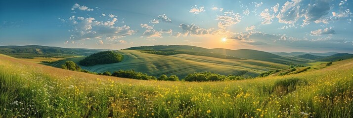 Wall Mural - The bright sun casts a warm glow over a lush, green grassy hill, illuminating the landscape in a peaceful and vibrant display of natures beauty