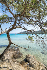 Wall Mural - Beautiful Notre Dame beach (Plage Notre-Dame) on Porquerolles island (l'île de Porquerolles), France