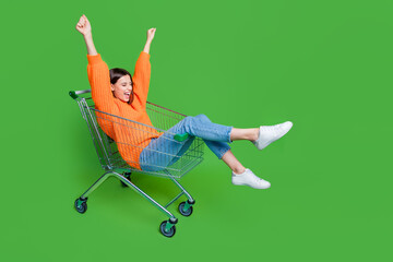 Wall Mural - Full size portrait of overjoyed nice girl inside market trolley raise fists empty space isolated on green color background