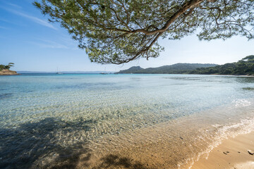 Wall Mural - Beautiful Notre Dame beach (Plage Notre-Dame) on Porquerolles island (l'île de Porquerolles), France