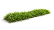 strip of green fresh grass side view, isolated on white background. generative ai