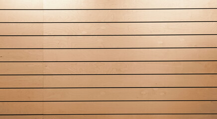 Wood Texture. Horizontal Paneling. Siding Wall