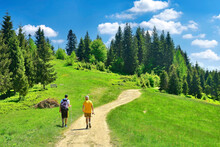 Two Hikers On A Path Through The Green Meadow Field Among Trees In Summer Sunny Day, Gorce Mountains, Poland