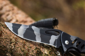 Wall Mural - military tactical knife on tree in the forest