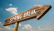 © mabaci - Wooden spring break sign: school holiday and spring vacation concept