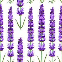 Canvas Print - A cluster of vibrant purple flowers gracefully spread across a pristine white backdrop, exuding elegance and charm