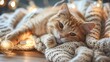 cute ginger cat is lying on white knitted sweater fluffy pet on wooden table with light bulbs
