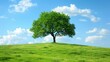 © Evodigger - Green tree on the grassy hill under blue sky with white clouds,beautiful landscape wallpaper.