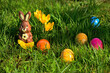 Schokoladen Osterhasen sitzen im grünen Gras, umgeben von bunten Ostereier und blühenden Frühlingsblumen