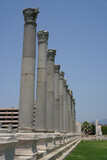 Fototapeta  - Agora of Smyrna in Izmir, Turkey