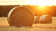 Golden Sunset Over Round Straw Bales, farmland, agriculture, rural landscape, warm glow