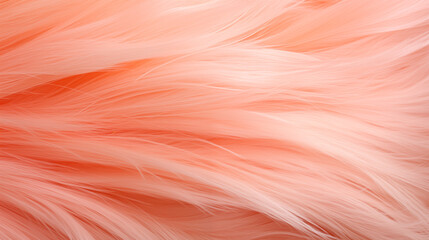 Wall Mural - Salmon Pink Fluffy Fur Texture