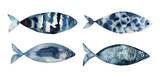 Fototapeta Dziecięca - Watercolor set of the hand drawn blue fishes isolated on white background