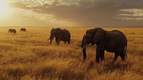 Fototapeta Sawanna - Serengeti Elephants