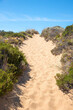 sandy footpath at dunes landscape, vertical shot
