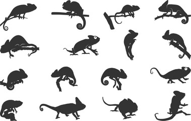 Chameleon silhouettes, Chameleon vector illustration, Chameleon svg, Chameleon animal icon, Chameleon silhouette