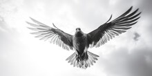 A Black And White Photo Of A Bird Flying, Suitable For Various Projects.