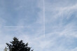 several intersecting contrails in the cloudy sky above a treetop