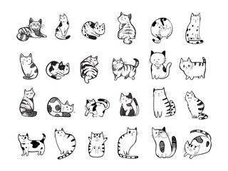 Wall Mural - Set of cats, kitten hand drawing sketch hand drawn vector illustration. Cute pet animal collection.