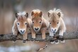 Horse Baby group of animals hanging out on a branch, cute, smiling, adorable