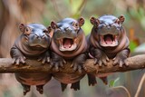 Fototapeta  - Hippo Baby group of animals hanging out on a branch, cute, smiling, adorable