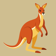 kangaroo, wallaby, wallaroo, mascot, pet, cartoon, pretty, cute, draw, art, wildlife, character, vector, illustration