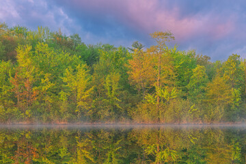 Wall Mural - Foggy spring landscape at sunrise of the shoreline of Long Lake and with reflections in calm water, Yankee Springs State Park, Michigan, USA