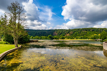 Wall Mural - Panoramic nature landscape of Lake Echternach with algae on water surface, mountains with green leafy trees against blue sky with white clouds in background, sunny summer day in Luxembourg