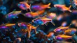 A vibrant school of neon tetra fish glides through the water, their iridescent colors contrasting beautifully with the dark aquatic environment.