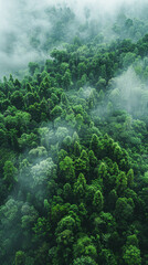 Poster - A lush green forest with trees covered in mist. The trees are tall and dense, creating a sense of depth and serenity. The mist adds an ethereal quality to the scene, making it feel almost otherworldly