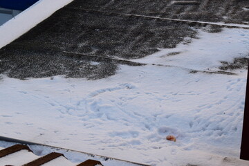 Wall Mural - fresh snow on the roof