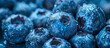 Fresh juicy blueberries close up. Healthy food, sweet healthy dessert. Blue berries background.