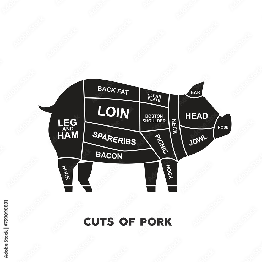 vector illustration guide Meat cuts set. pork Butcher Poster diagrams ...