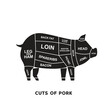 vector illustration guide Meat cuts set. pork Butcher Poster diagrams and schematics.