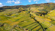 © Photofex - Wine-growing region Danube Valley Wachau in Austria. Vineyards and agricultural fields in autumn colors.