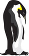 Vector illustration of a royal penguin