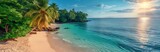 Fototapeta  - view of an island with a sultry tropical forest, surrounded by bright blue waters and white sandy beaches.
Concept: tourism brochures, resort travel campaigns, emphasizing solitude and natural beauty