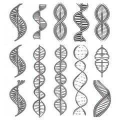 Wall Mural - Flat vector illustration of human DNA structure. Icon symbol.