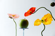 © THAIS RAMOS VARELA/Stocksy - a fresh green apple resting on a transparent glass vase